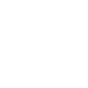 Les Vikings